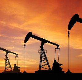 WAM: топливная политика ОАЭ будет привержена ответственности и стабильности рынка