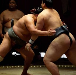 Азербайджанские сумоисты выступят на чемпионате Европы