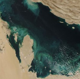 
В ООН запустили платформу для мониторинга последствий кризиса в Ормузском проливе