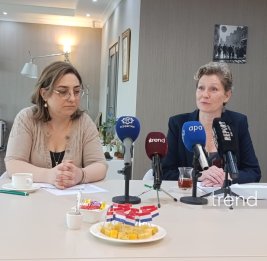 Нидерланды рассматривают возможность визита нового премьер-министра в Баку - посол