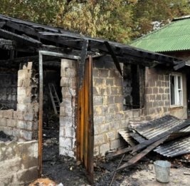 В России при пожаре в питомнике погибло 200 чихуахуа