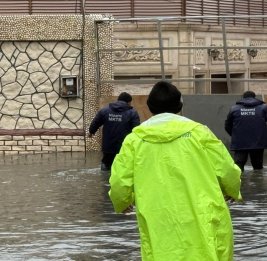 Власти выдержали экзамен