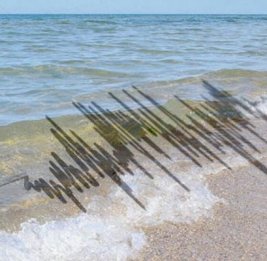 В Каспийском море произошло землетрясение