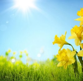 
В Азербайджане 1 мая ожидается до 25 градусов тепла