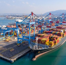 Израиль отказался от краденого украинского зерна