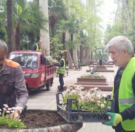 Весна в цветах