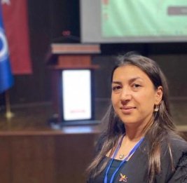 
WUF13 укрепит позиции Азербайджана на мировой арене &ndash; турецкий эксперт