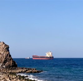 
Американцы передали Пакистану захваченное иранское судно