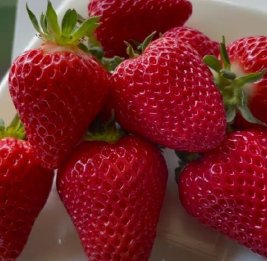 Красивые снаружи, опасные внутри