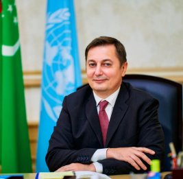 
Дмитрий Шлапаченко назначен новым координатором ООН в Азербайджане