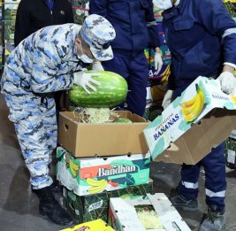 
Азербайджанские таможенники обнаружили в грузе с арбузами более 31 кг гашиша
