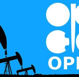 Добыча нефти странами ОПЕК упала до 36-летнего минимума