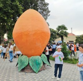 Самух встретит лето ароматом абрикосов