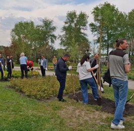 В Киеве организована акция по посадке деревьев, приуроченная ко дню рождения Гейдара Алиева