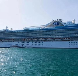 
На лайнере Caribbean Princess произошла вспышка норовируса, заболели более 100 человек