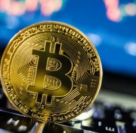 Биткоин снизился до 80 662 долларов: обзор крипторынка за сутки