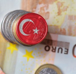 
Европа выделит Турции &euro;20 млн