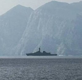 
Литва может отправить 40 специалистов для участия в разминировании Ормуза