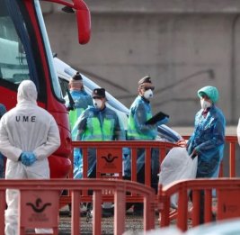 
В нидерландской больнице 12 человек помещены на карантин за нарушение протокола по борьбе с хантавирусом