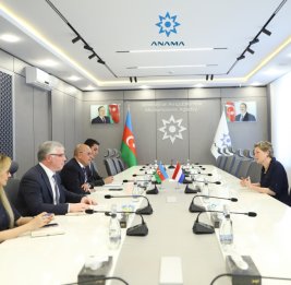 Азербайджан и Нидерланды обменялись мнениями о сотрудничестве в сфере борьбы с минной угрозой