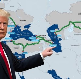 Сотрудники американской компании прибыли для исследования местности для TRIPP