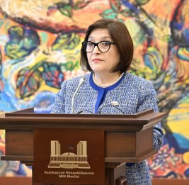
Председатель Милли Меджлиса: Азербайджано-словацкие отношения поднялись до уровня стратегического партнерства
