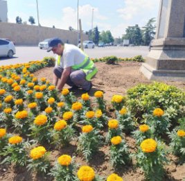 Гянджа преображается на глазах