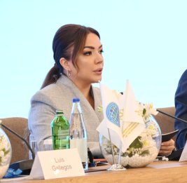 
Айгюн Алиева: Глобальный Юг должен стать конструктивным участником в принятии решений, влияющих на его будущее