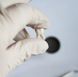 У неандертальцев с Алтая нашли древнейшего стоматолога