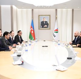 SOCAR и TPAO оценили состояние реализации совместно осуществляемых проектов