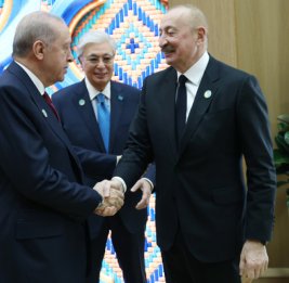 Президент Турции призвал к формированию общего цифрового видения стран ОТГ