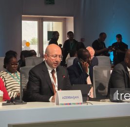 
Доля &laquo;зеленых зон&raquo; в Азербайджане увеличилась с 13% до примерно 38% - Анар Гулиев