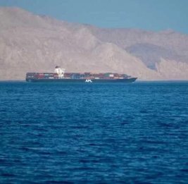 Судоходные компании начали возить топливо на грузовиках из-за блокады Ормуза
