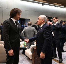 Премьер-министр Али Асадов в рамках церемонии открытия WUF13 провел ряд встреч