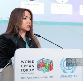 
Айгюн Алиева: Инклюзивный город &mdash; это не только инфраструктура