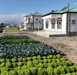 Формула успешного созидания 