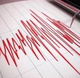 
В турецкой Малатье произошло землетрясение магнитудой 5,6
