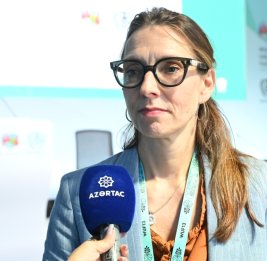 
Представитель ВОЗ: Для здорового проживания важна и окружающая дом среда