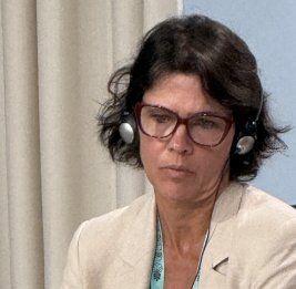 
На WUF13 рассказали об опыте Бразилии в сфере борьбы с жилищным кризисом