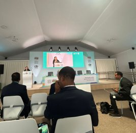 
В рамках WUF13 началась сессия на тему &laquo;Коалиция строителей, содействующая продуктивному партнерству на Глобальном Юге&raquo;