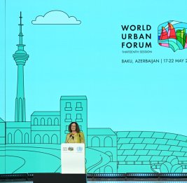 Профессор Ана Фалу: Большинство градостроительных стратегий не интегрируют гендерную перспективу четким образом