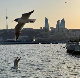 
В Каспийском море произошло землетрясение
