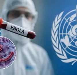
Africa CDC предупредили о высоком риске вспышки Эболы в 10 странах Африки