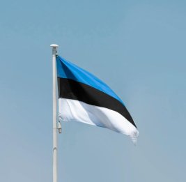 Эстония не будет эвакуировать дипломатов из Киева