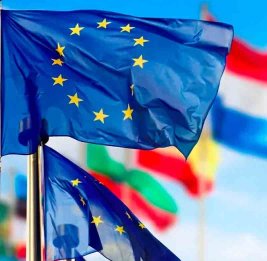 В восьми странах Евросоюза мигранты образованнее местных жителей