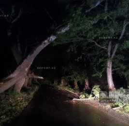 
В Огузе из-за непогоды 15 сел остались без света