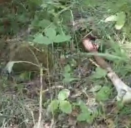 В Агдере обнаружены фрагменты костей, предположительно принадлежащие пропавшей без вести семье