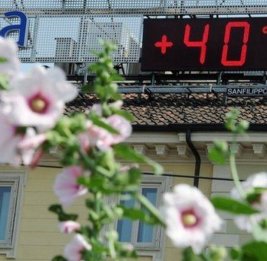 Лето в Турции может побить температурные рекорды