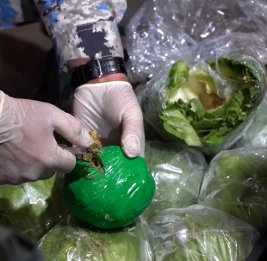 Из Ирана в Россию: марихуану везли в салате