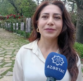 Турецкий эксперт: Значимость Анкары и Баку в глобальном транспорте будет лишь возрастать